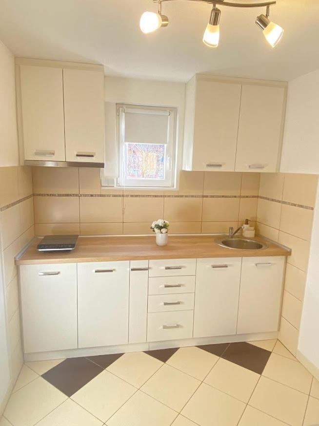Apartman Mina Mataruska Banja Ngoại thất bức ảnh