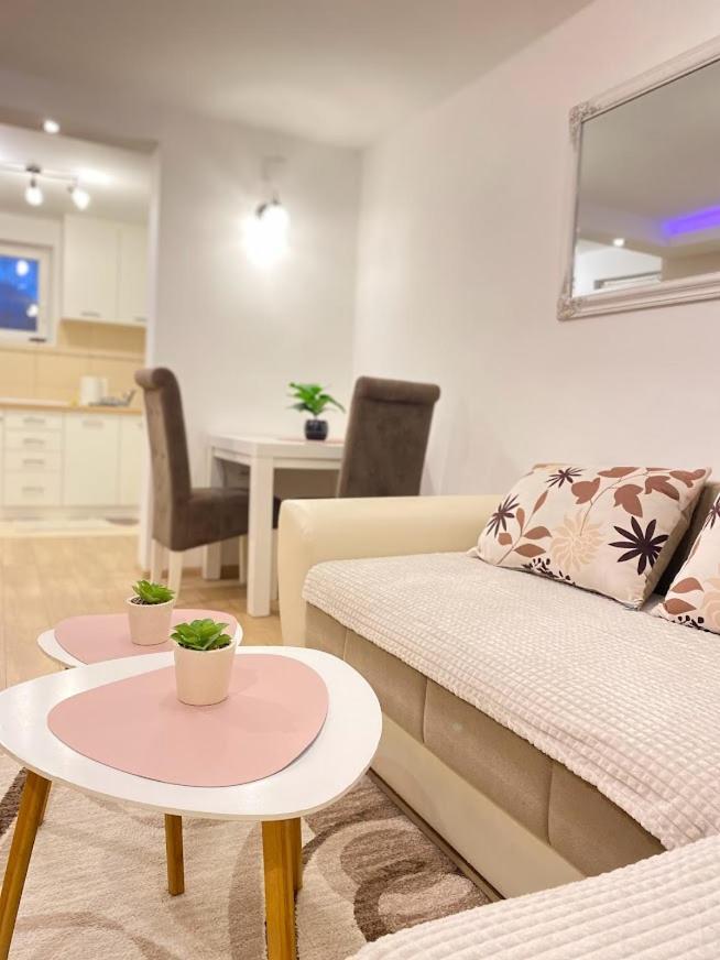 Apartman Mina Mataruska Banja Ngoại thất bức ảnh
