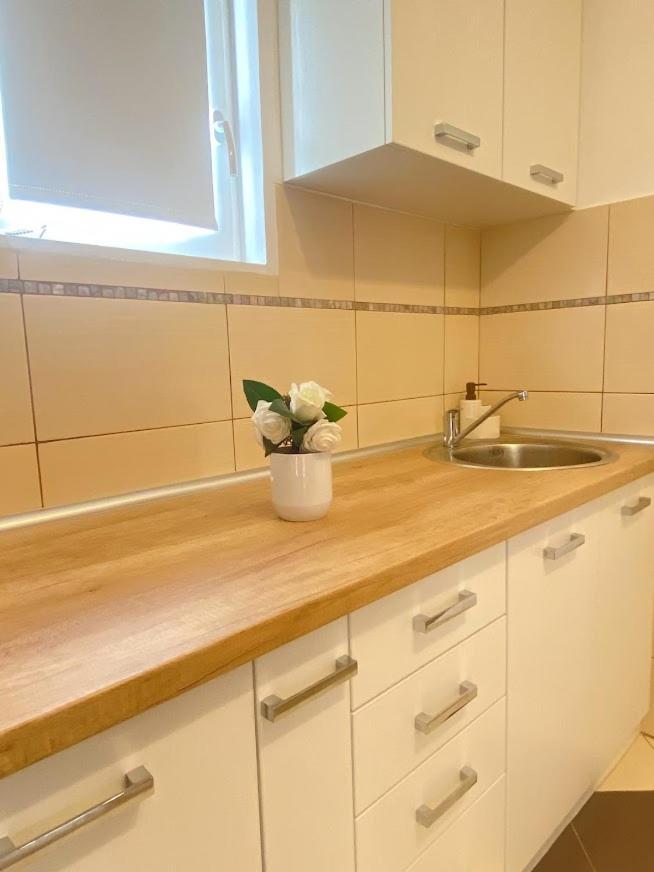 Apartman Mina Mataruska Banja Ngoại thất bức ảnh