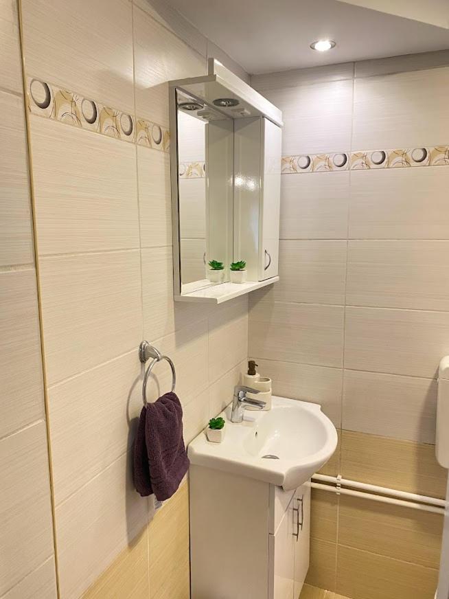 Apartman Mina Mataruska Banja Ngoại thất bức ảnh