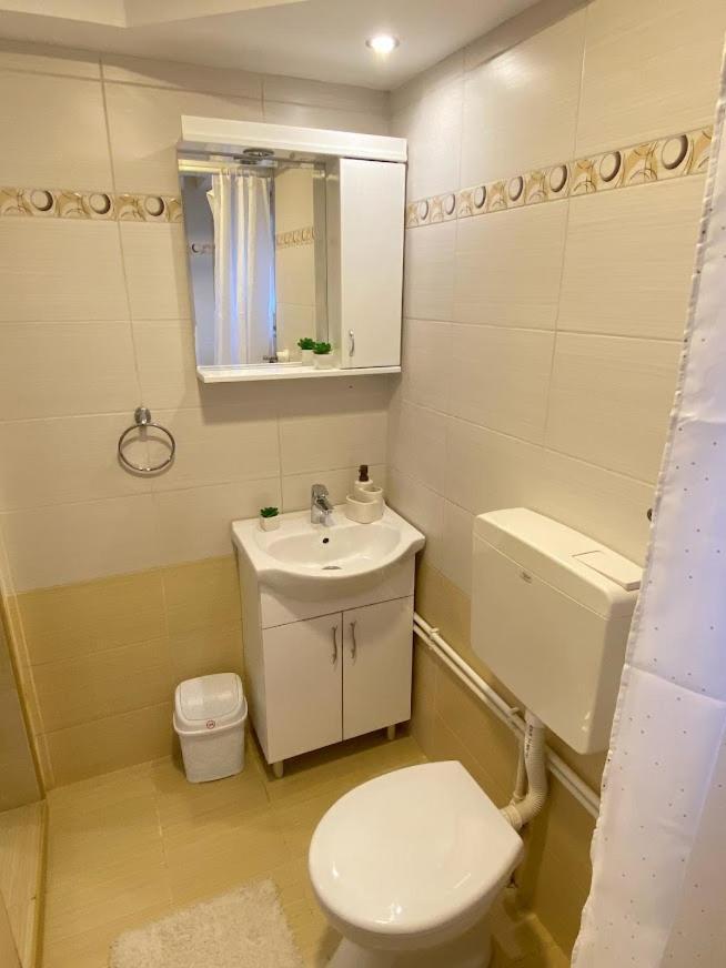 Apartman Mina Mataruska Banja Ngoại thất bức ảnh