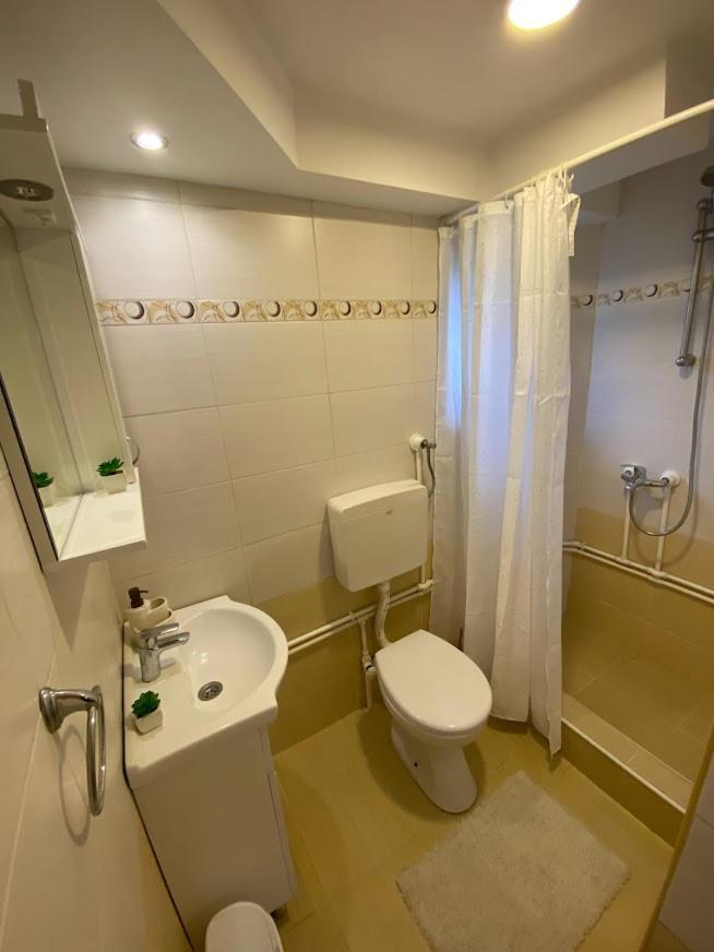 Apartman Mina Mataruska Banja Ngoại thất bức ảnh